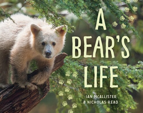 A Bear's Life (Paperback)